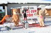 Nicicup Durchholzen 29.01.2011