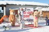 Nicicup Durchholzen 29.01.2011