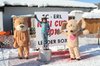 Nicicup Durchholzen 29.01.2011