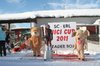 Nicicup Durchholzen 29.01.2011
