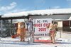 Nicicup Durchholzen 29.01.2011