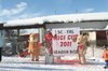 Nicicup Durchholzen 29.01.2011