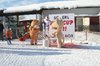 Nicicup Durchholzen 29.01.2011