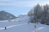 Nicicup Durchholzen 29.01.2011