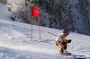 Nicicup Durchholzen 29.01.2011