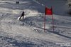 Nicicup Durchholzen 29.01.2011