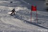 Nicicup Durchholzen 29.01.2011