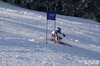 Nicicup Durchholzen 29.01.2011