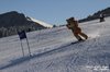 Nicicup Durchholzen 29.01.2011