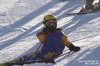 Nicicup Durchholzen 29.01.2011