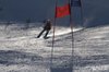 Nicicup Durchholzen 29.01.2011