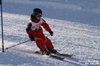 Nicicup Durchholzen 29.01.2011