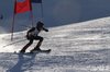 Nicicup Durchholzen 29.01.2011
