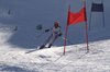 Nicicup Durchholzen 29.01.2011