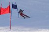 Nicicup Durchholzen 29.01.2011