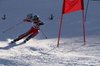 Nicicup Durchholzen 29.01.2011