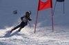 Nicicup Durchholzen 29.01.2011