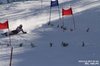 Nicicup Durchholzen 29.01.2011