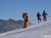 Nicicup Durchholzen 29.01.2011