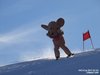 Nicicup Durchholzen 29.01.2011