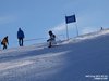 Nicicup Durchholzen 29.01.2011