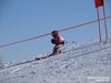 Nicicup Durchholzen 29.01.2011
