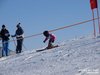 Nicicup Durchholzen 29.01.2011