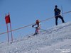 Nicicup Durchholzen 29.01.2011