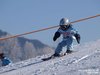 Nicicup Durchholzen 29.01.2011