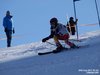 Nicicup Durchholzen 29.01.2011
