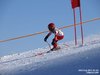 Nicicup Durchholzen 29.01.2011