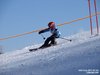 Nicicup Durchholzen 29.01.2011
