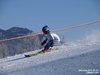 Nicicup Durchholzen 29.01.2011