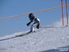 Nicicup Durchholzen 29.01.2011
