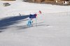 Clubmeisterschaft 2011 - Durcholzen - 26.02.11