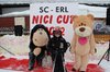 Nicicup Erl