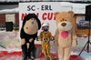 Nicicup Erl