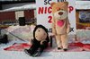 Nicicup Erl