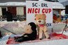 Nicicup Erl