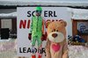 Nicicup Erl