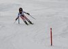 Bezirksslalom Sc Erl 2013