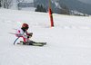 Bezirksslalom Sc Erl 2013