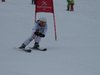 Vereinerennen 2013