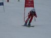 Vereinerennen 2013