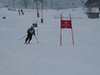 Vereinerennen 2013