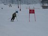 Vereinerennen 2013