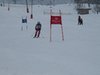 Vereinerennen 2013