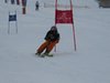 Vereinerennen 2013