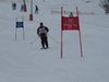 Vereinerennen 2013