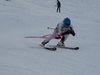 Vereinerennen 2013